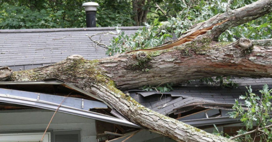 Un árbol cayó sobre una casa tras una tormenta en Sainte-Foy. Será retirado por Emondage Sainte-Foy.