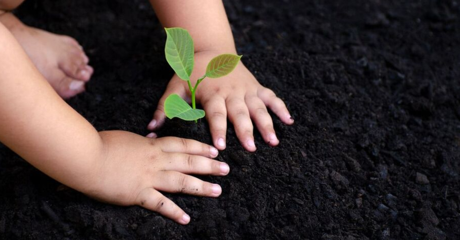 Enfant à Sainte-Foy qui plante un jeune arbre.